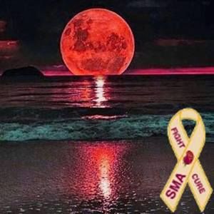 Meet your Posher, Maritza